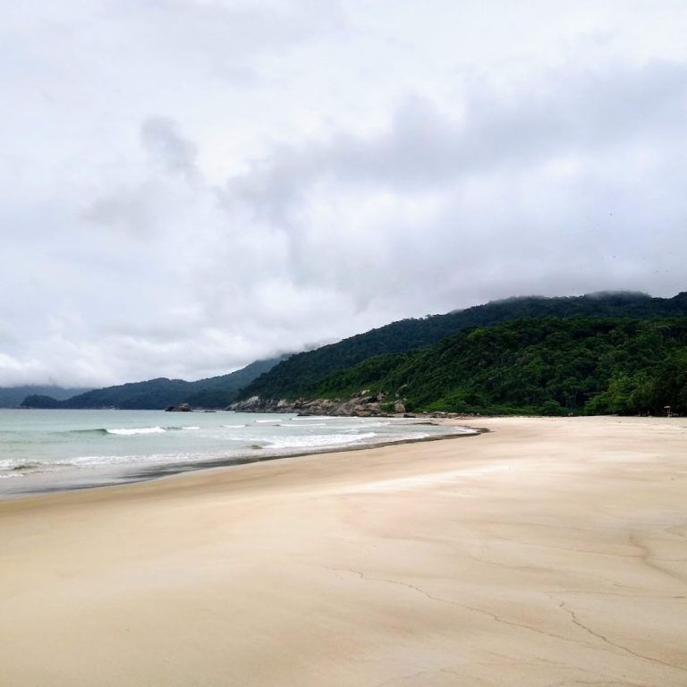 Foto real de Parque Estadual de Ilha Grande