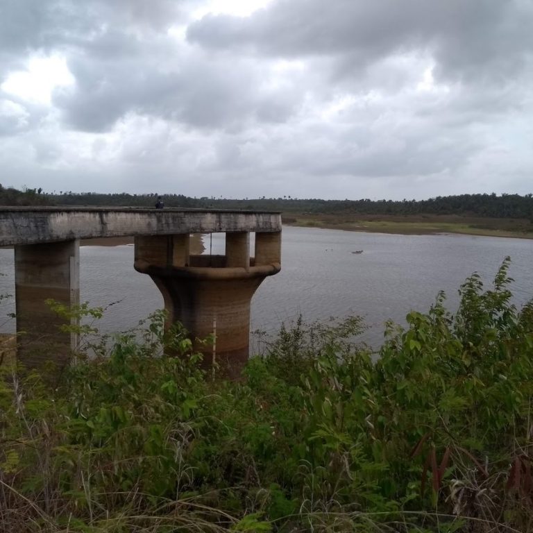 Foto real de Parque Estadual do Bacanga