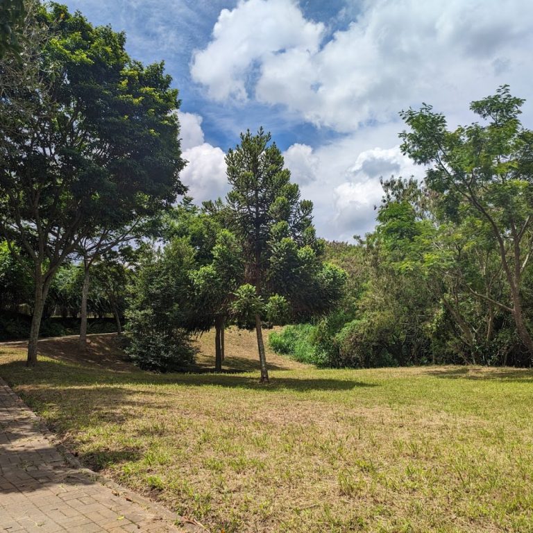 Foto real de Parque Guanhembu - Benedicta Ramos Caruso