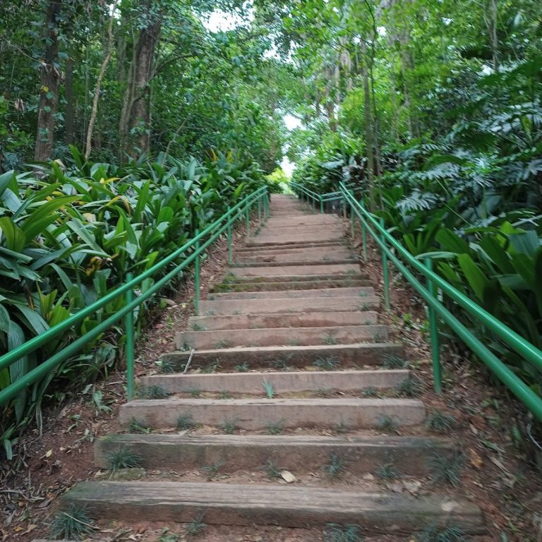 Foto real de Parque Luís Carlos Prestes