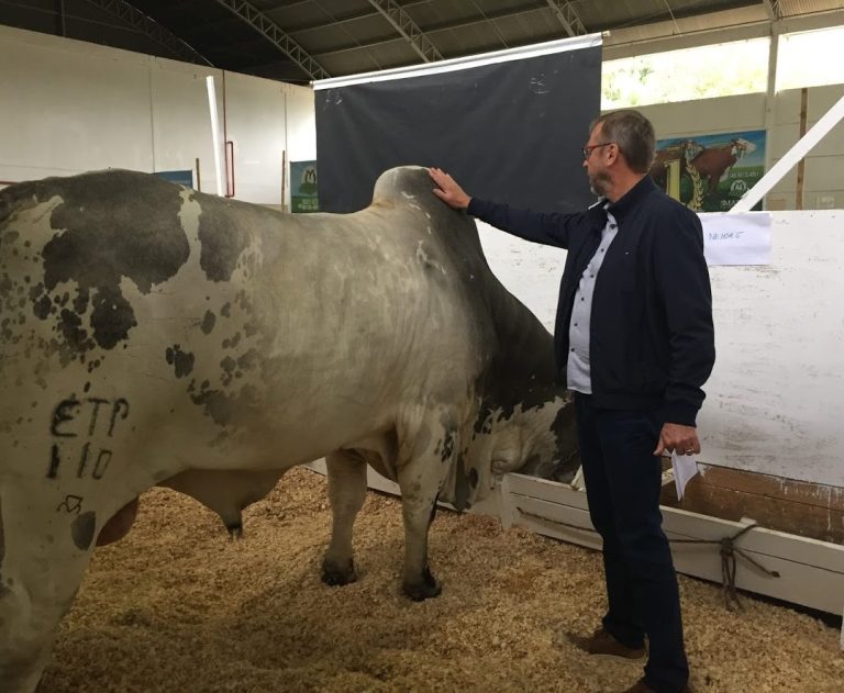 Foto real de Parque Muncipal do Agricultor de Itajaí