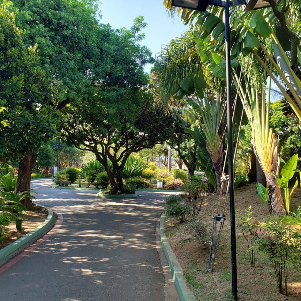 Foto real de Parque Municipal Eng Salvador Arena