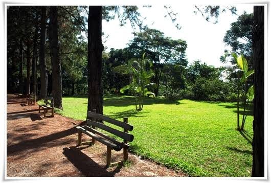 Foto real de Parque Municipal Jacques Cousteau