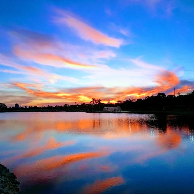 Foto real via Google