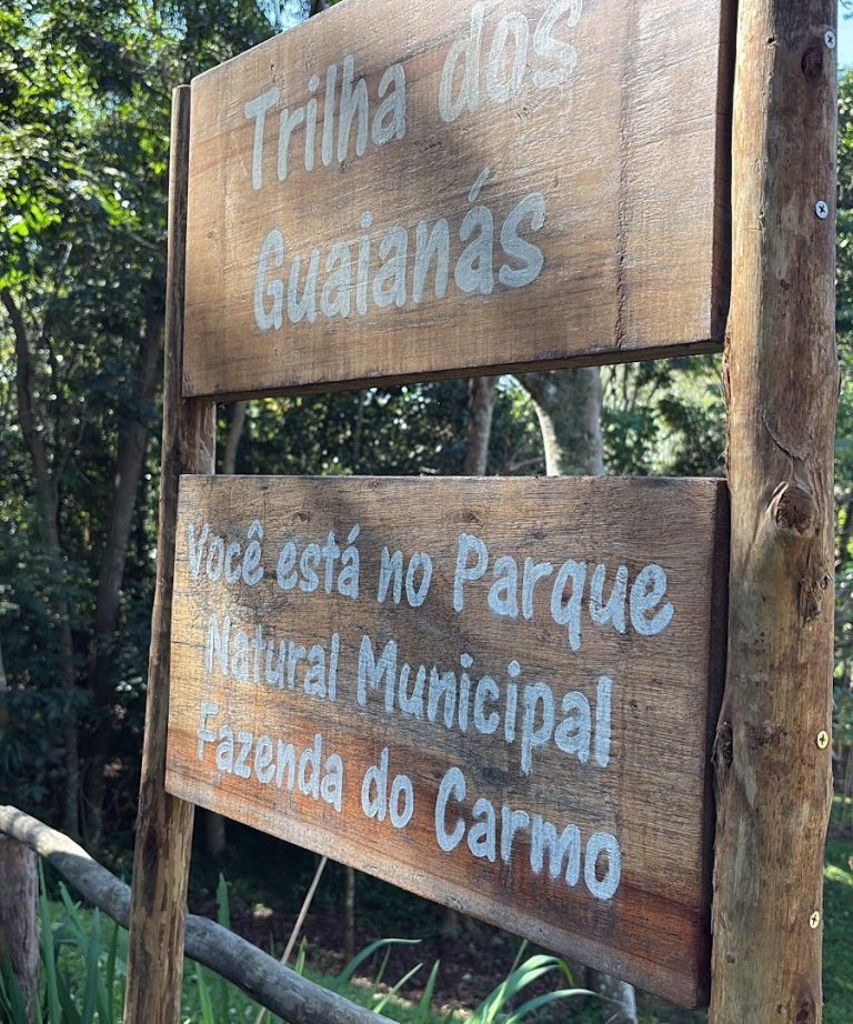Foto real via Google