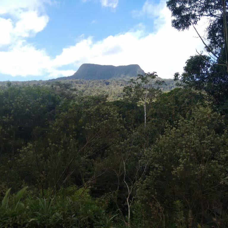 Foto real de Parque Natural Municipal Morro do Baú