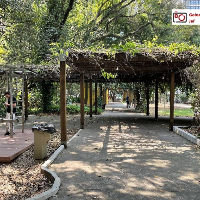 Foto real de Parque Prefeito Mário Covas