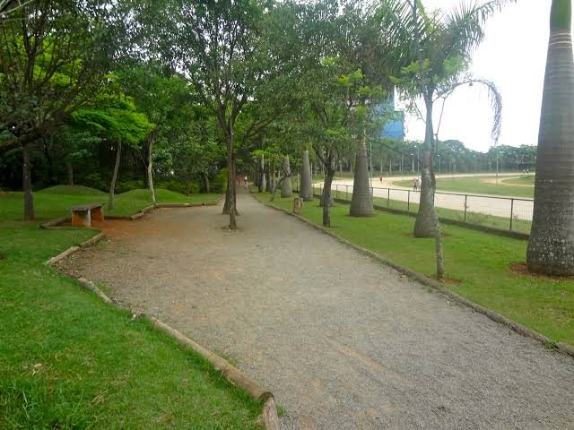 Foto real de Parque Trote
