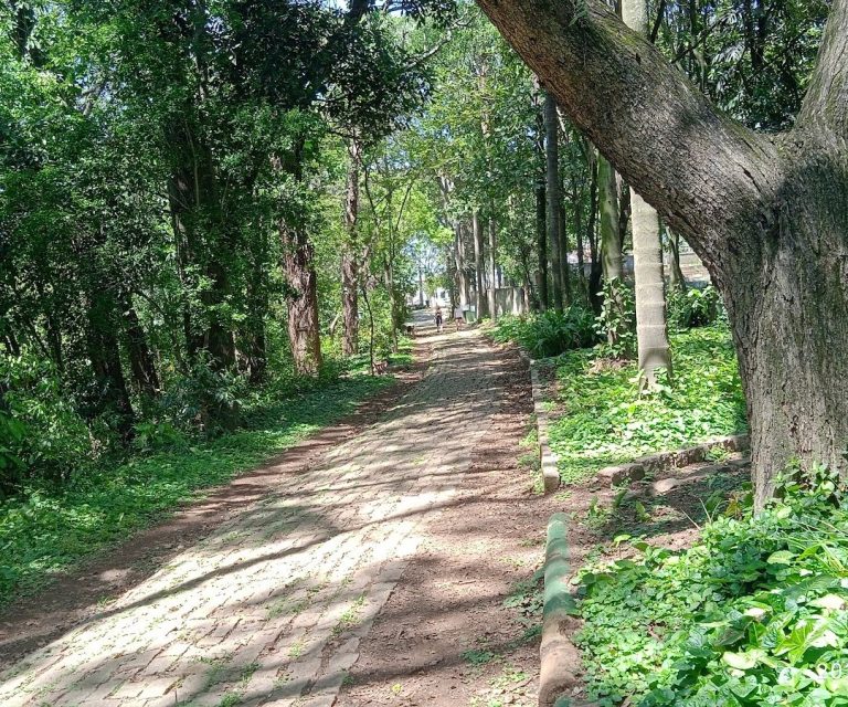Foto real de Parque Vila dos Remédios