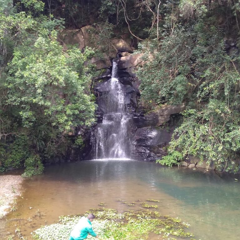 Foto real de Parque Vista Alegre