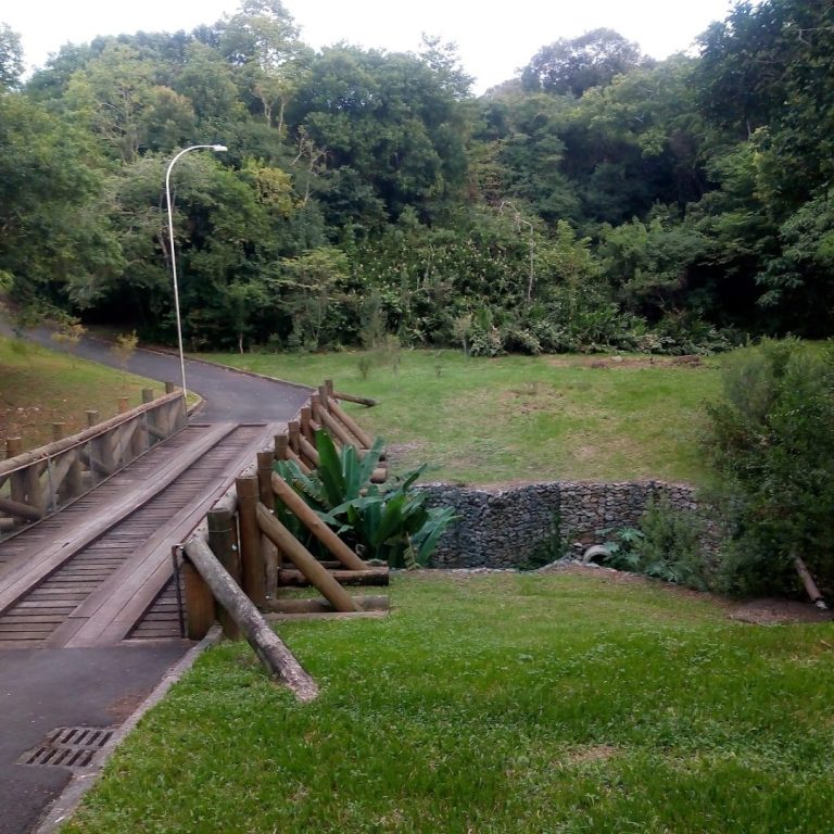 Foto real de Parque Vista Alegre