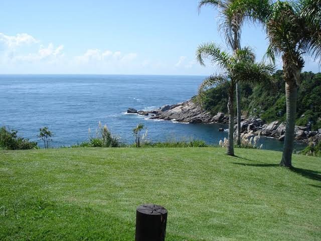 Foto real via Google