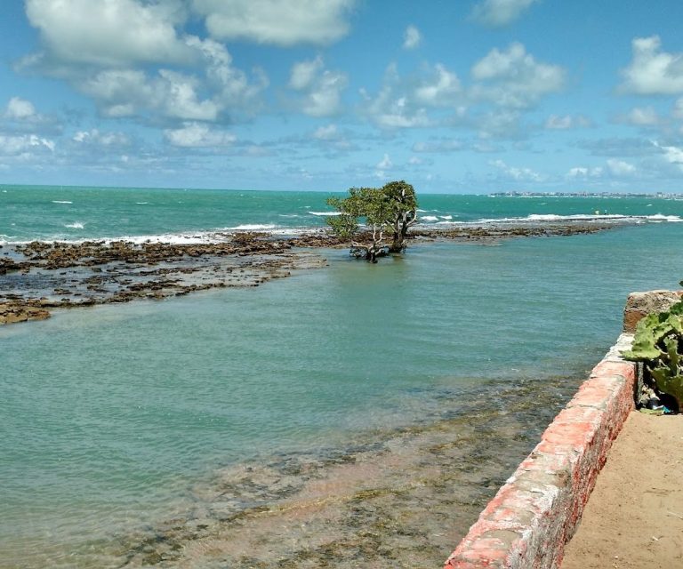 Foto real via Google