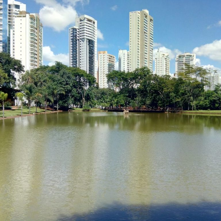 Foto real via Google