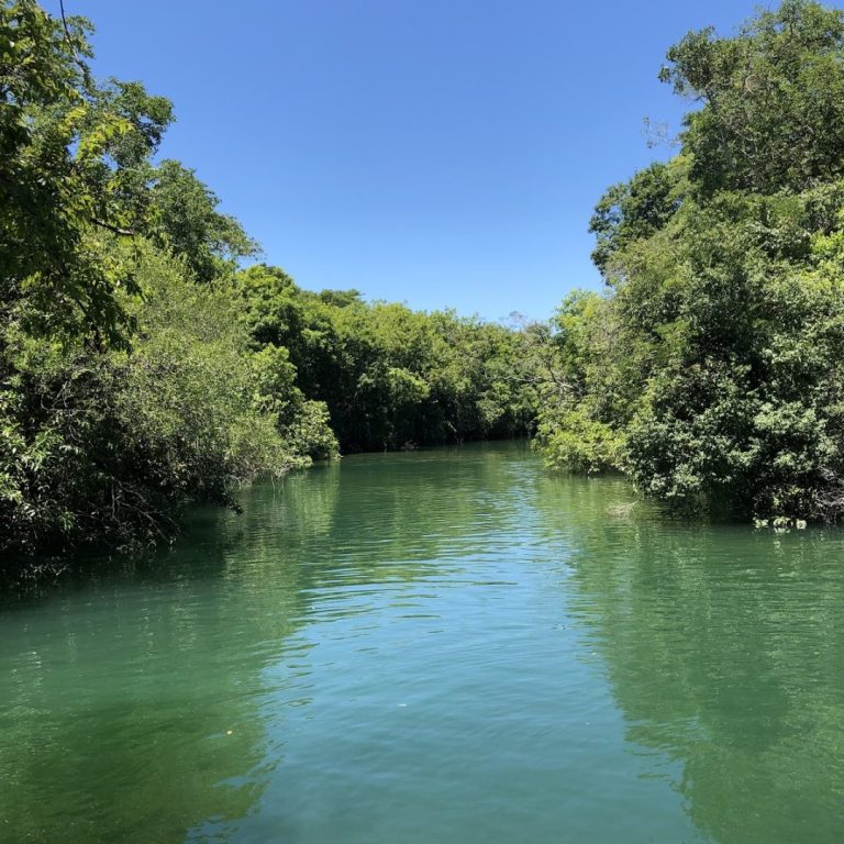 Fábrica de Encantos Taboa