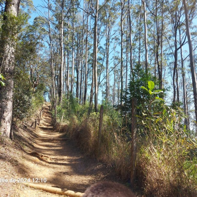 Trilha do Pai Zé