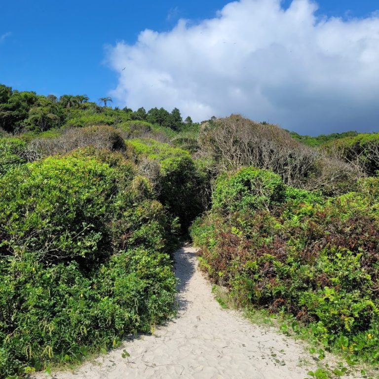 Foto real de Trilha Praia dos Ilhéus