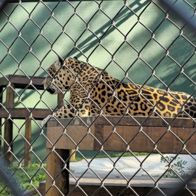 Foto real de Zoológico Municipal de Curitiba
