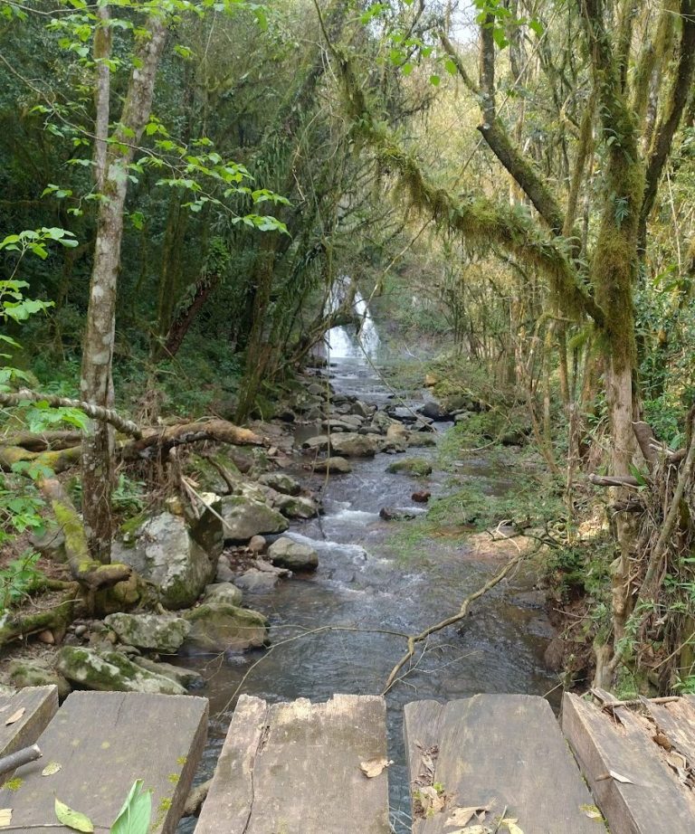 Foto real de Cascata da Panelinha