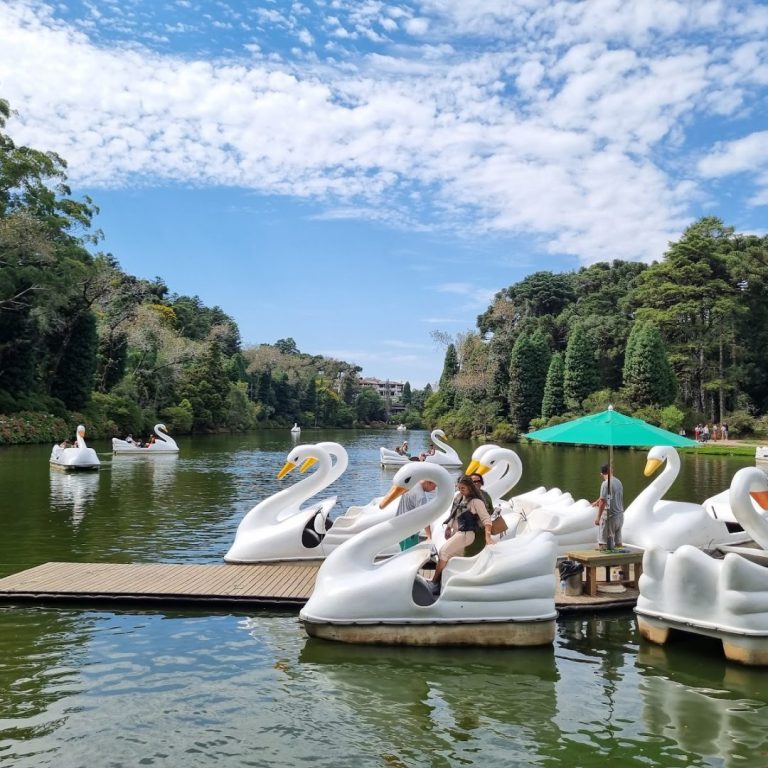 Foto real de Lago Negro