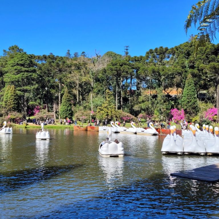 Foto real de Lago Negro