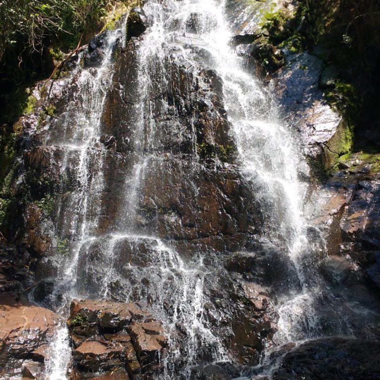 Parque Spitzkopf Blumenau