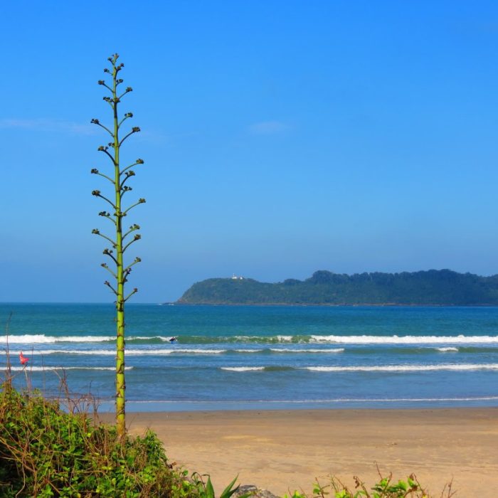 Foto real de Praia da Atalaia