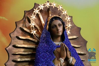 Santuário Nossa Senhora Guadalupe Curitiba