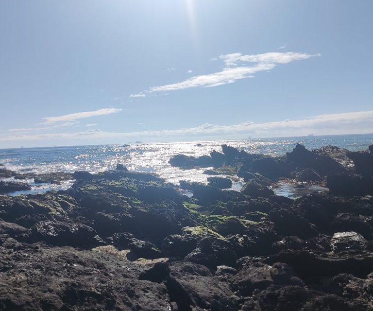 Ilha das Cabras