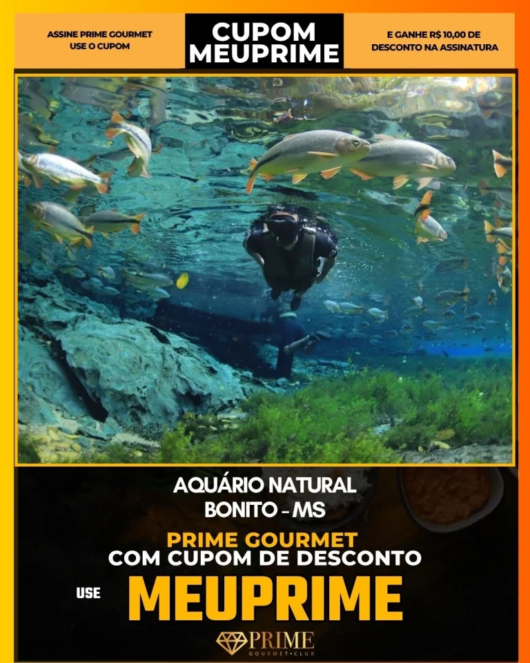 Aquário Natural Bonito