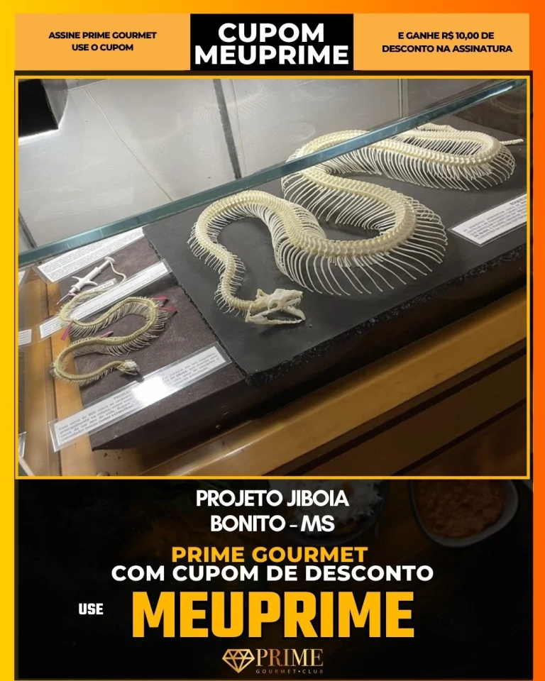Projeto Jiboia Bonito
