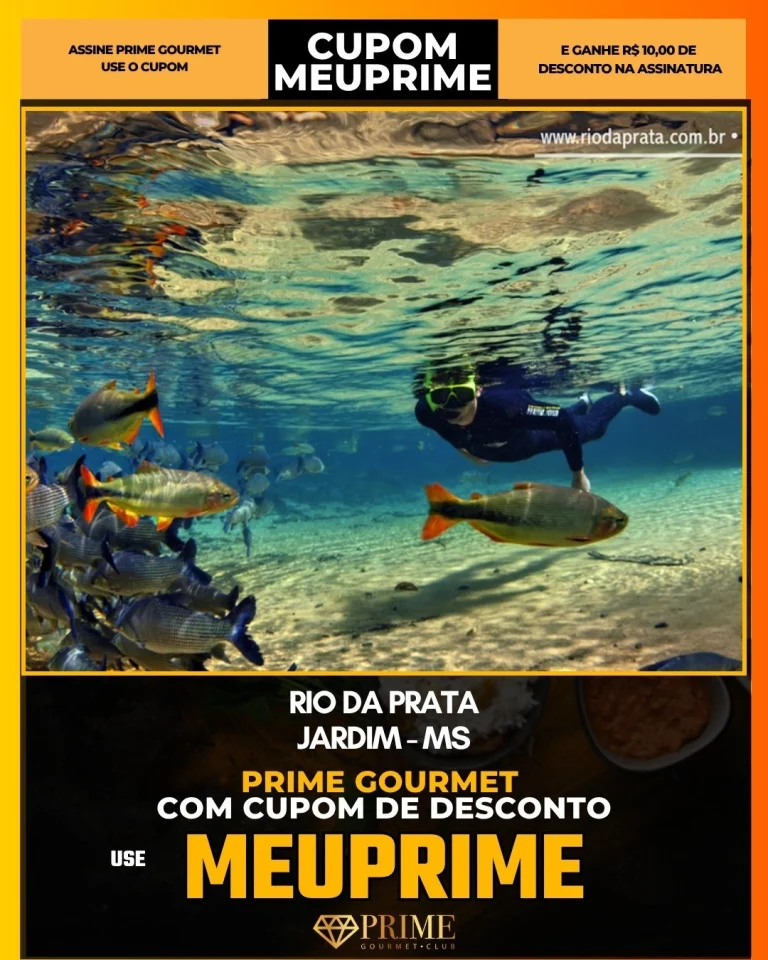 melhor flutuação Bonito