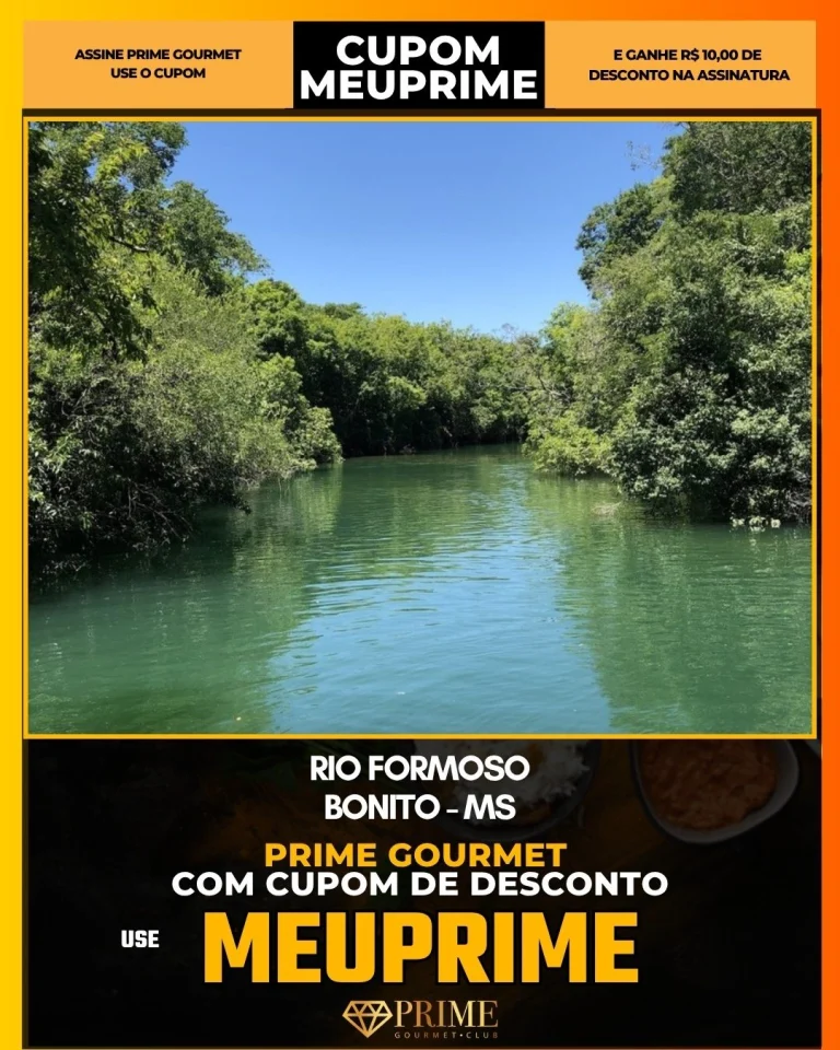 passeio de bote no Rio Formoso
