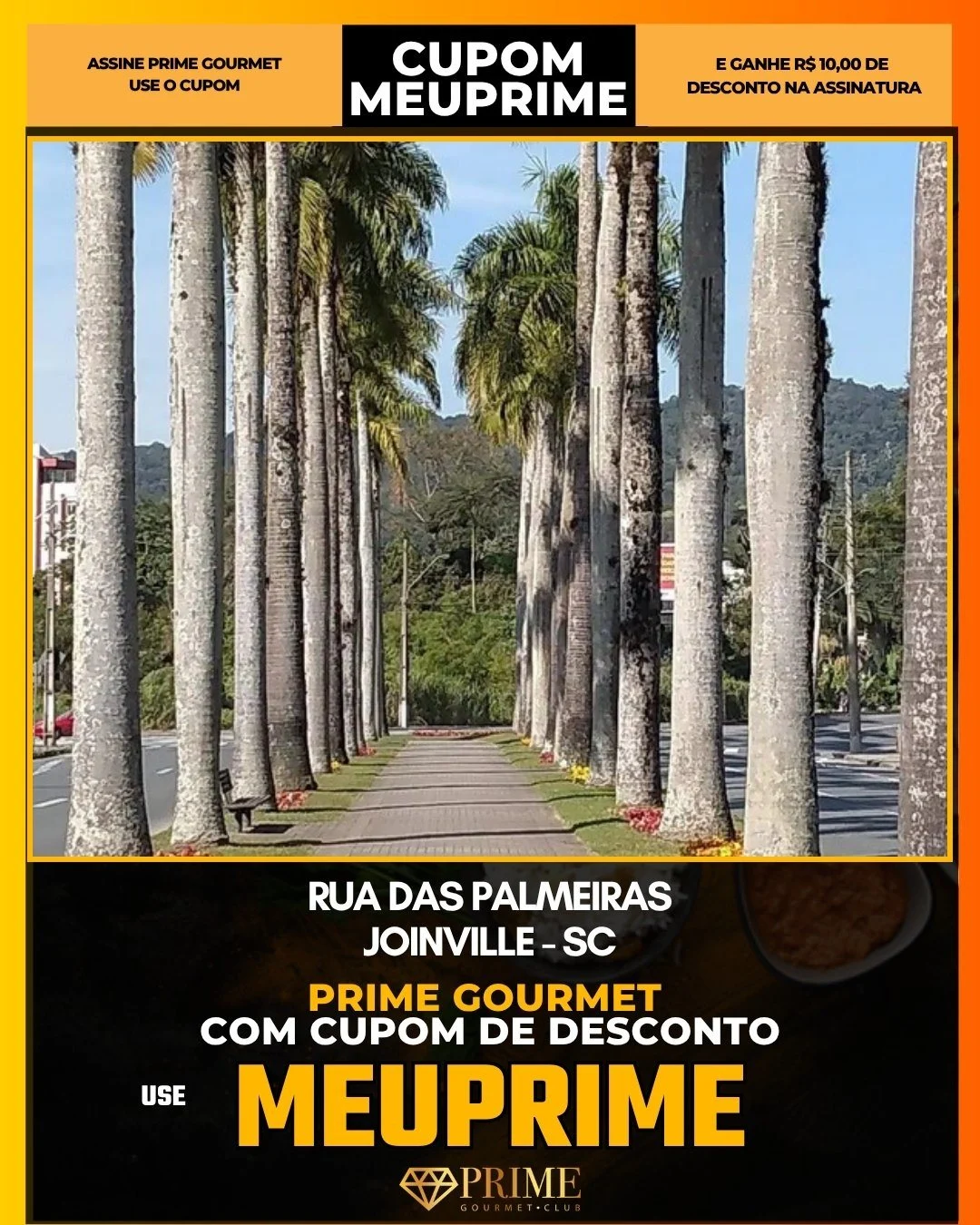 Rua das Palmeiras Joinville